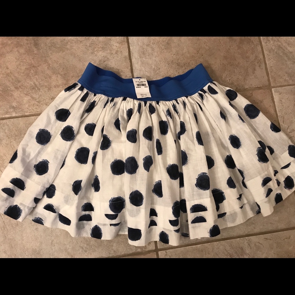 Abercrombie and Fitch Skirt